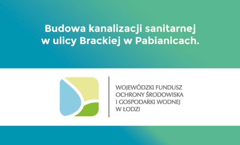 Budowa kanalizacji sanitarnej w ulicy Brackiej w Pabianicach.